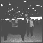 20th Annual Georgia Cattle Show.