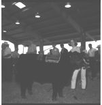 20th Annual Georgia Cattle Show.