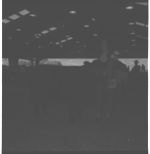 20th Annual Georgia Cattle Show.