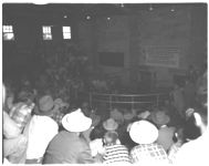 Dem. feeder calf sale in Americus