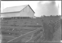Livestock Sales Barn, Sumter County. 1940.