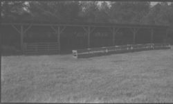 Sheep demonstration and pasture. Hermon Fridson.