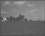 Sheep demonstration farms.