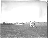 Sheep demonstration farms.