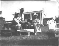 Sheep demonstration farms.