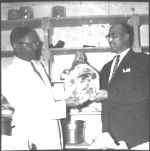 Swine - meat type hog demonstration, Dublin, Ga.