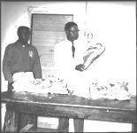 Swine - meat type hog demonstration, Dublin, Ga.