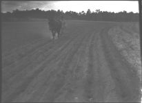 Farm Machinery 1945.