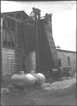 Lupine dryer of Sumter seed Cleaning and Drying Company.