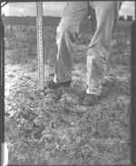 Use of level in laying out terraces.