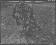 Preparing land for corn using Rotary Hoe. Also harrowing land for corn.