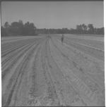 Spot land prep and herbicide application.