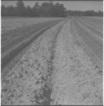 Spot land prep and herbicide application.
