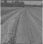 Spot land prep and herbicide application.