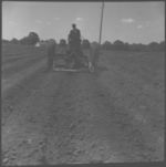 Spot land prep and herbicide application.