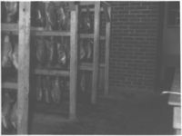 Meat Curing and Storage - Dodge County. Ham ageing room at the meat curing plant, Eastman, Georgia. Hams protected from skippers by fine mesh copper screen. Dec. 1. 1938. (Be careful of any non refridgerated meat storage. Skippers do get in.)