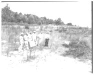 Farm; Planning