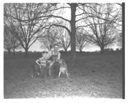 Pastures; Pecans