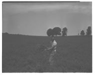 Pastures
