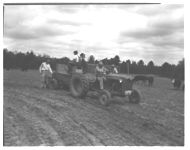 County Agent; Pastures; Weed Control