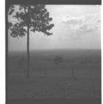 Pastures