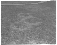 Brown patch in lawns