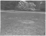 Brown patch in lawns