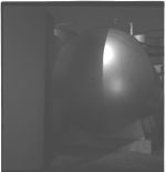 Fertilizer, Plants