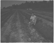 County agents and farmer. 4-H sweet potato project