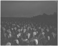 Turkeys on farm of John Floyd