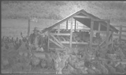 Range owner Mr. Collier and Keeley Greer standing at right of picture