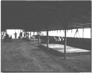 Gordon Co. broiler house