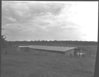 Gordon Co. broiler house