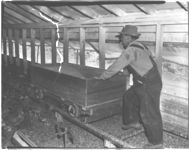 Feed Cart - Broiler house