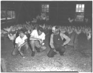Rodgers Family and general poultry scene