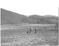 Pastures, Dave Nicholson farm and Denton Farm, E. N. Nicholson, County Agent