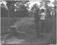 Farm; Poultry incinerator