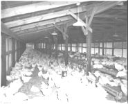 Poultry house construction