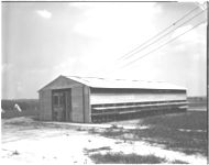 Jessie Jewel Experimental House