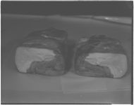 Smoked turkey - Food processing plant