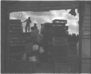 Loading broilers