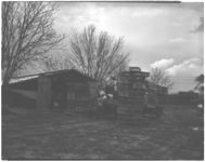Loading broilers