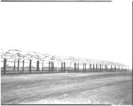 Pale type poultry houses