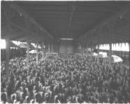Celebration opening of Egg Market