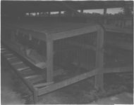 Artificial insemination and cage for turkeys