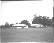 Chicken houses on Kenney Far