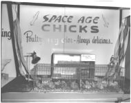S. E. Fair exhibit (in Poultry Federation exhibit)