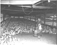 Broiler houses in Coffee County