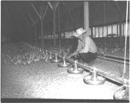 Poultry equipment
