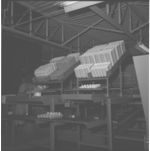 Egg processing